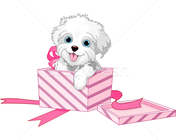 собака щенок в подарок купить скидка в день рождения